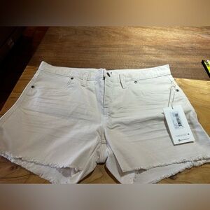 Carve Designs Oahu shorts 4”